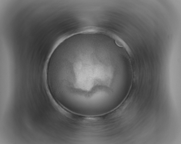 X0000113301483200909281054