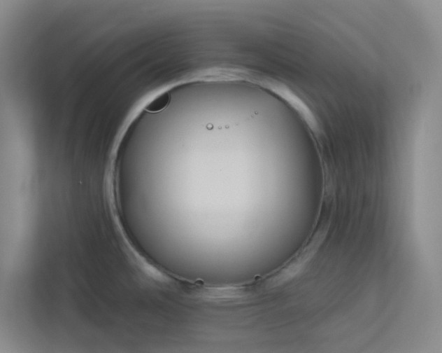 X0000113301486200909281054