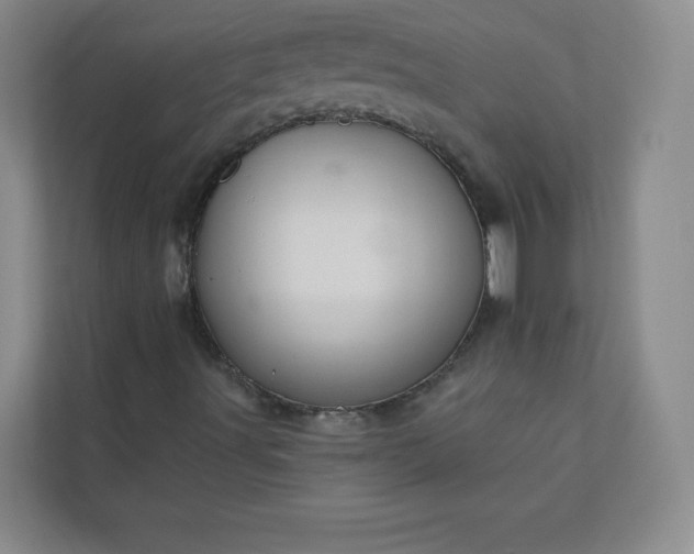 X0000113301491200909281054