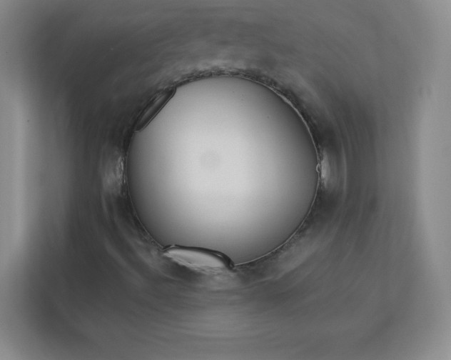 X0000113301492200909281054