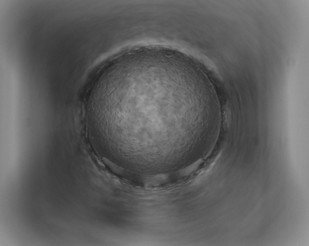 X0000113301494200909281054