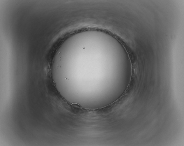 X0000113301495200909281054