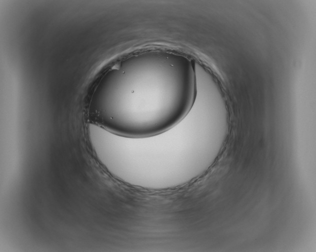 X0000113301496200909281054