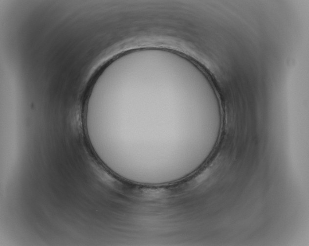 X0000113301498200909281054