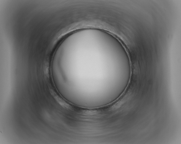 X0000113301499200909281054