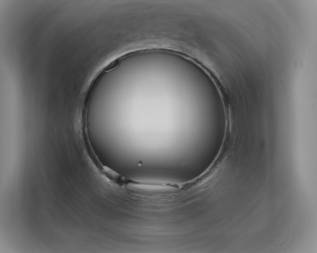 X0000113301500200909281054