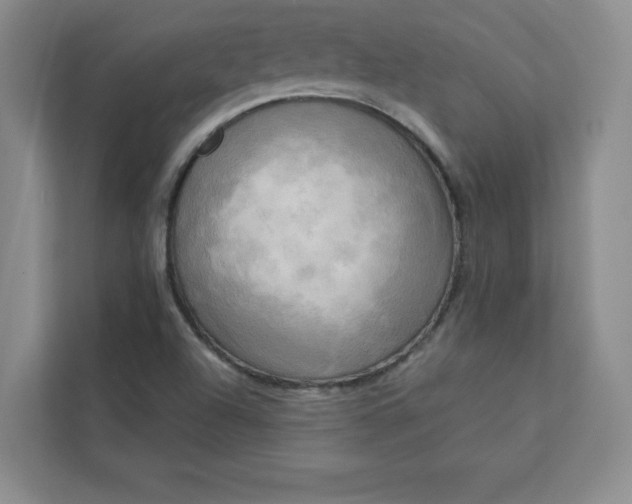 X0000113301504200909281054