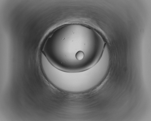 X0000113301506200909281054