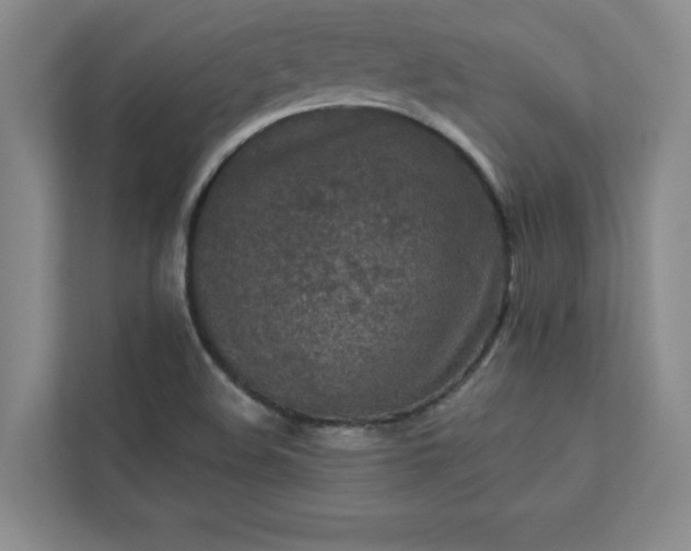 X0000113301508200909281054