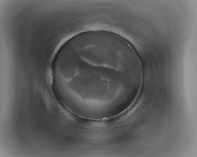 X0000113301509200909281054