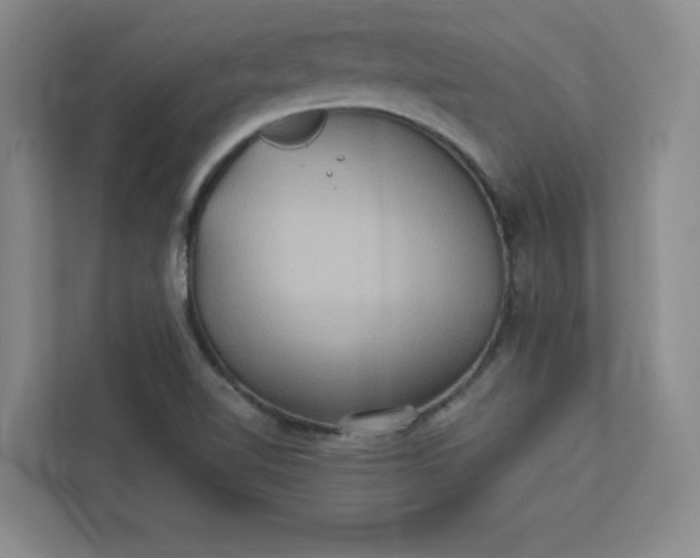 X0000113301510200909281054