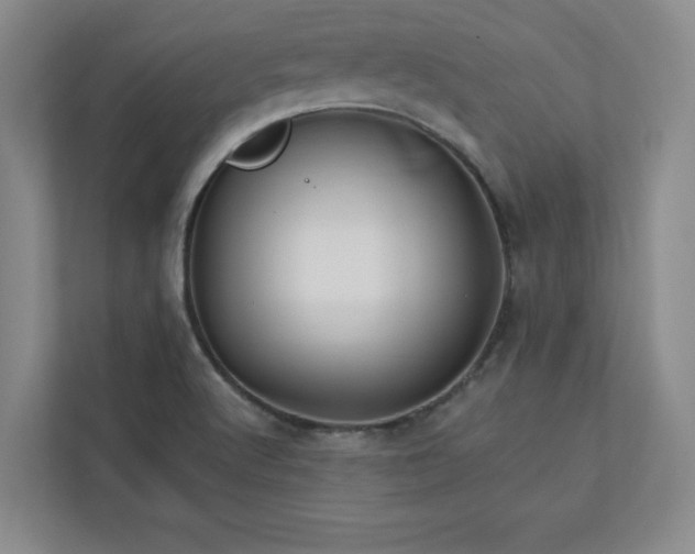 X0000113301512200909281054