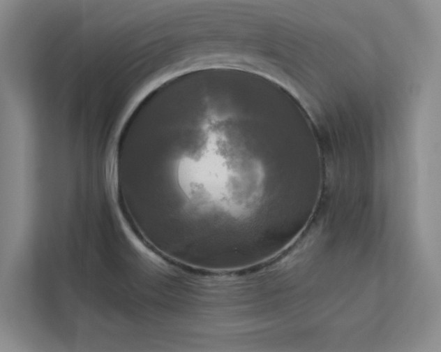 X0000113301515200909281054