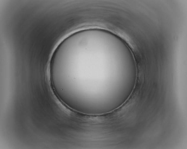 X0000113301516200909281054