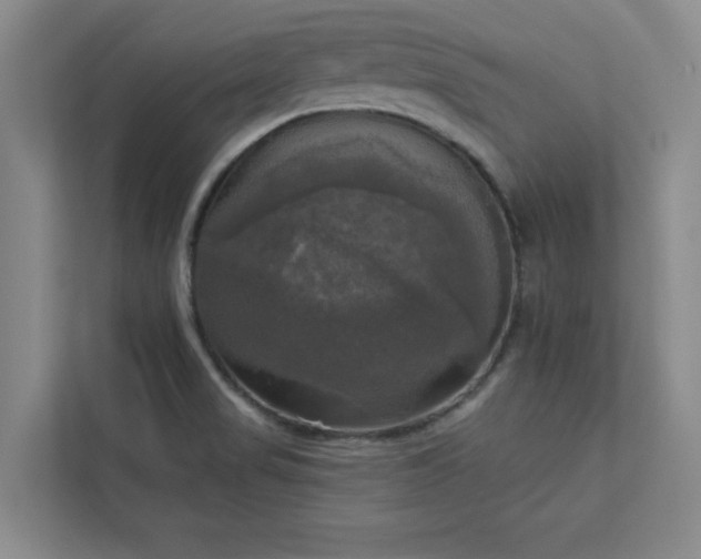 X0000113301517200909281054