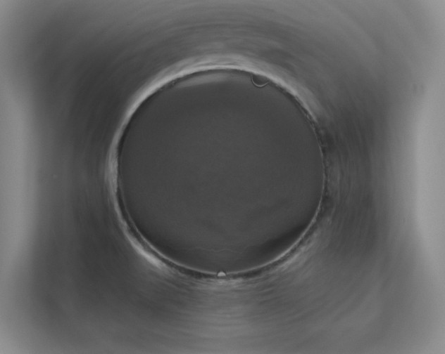 X0000113301519200909281054