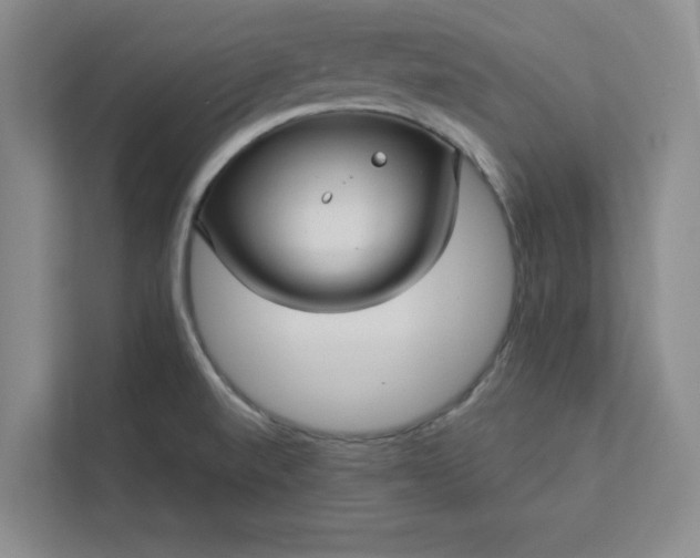 X0000113301520200909281054