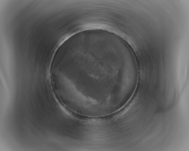 X0000113301521200909281054