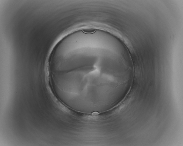 X0000113301522200909281054