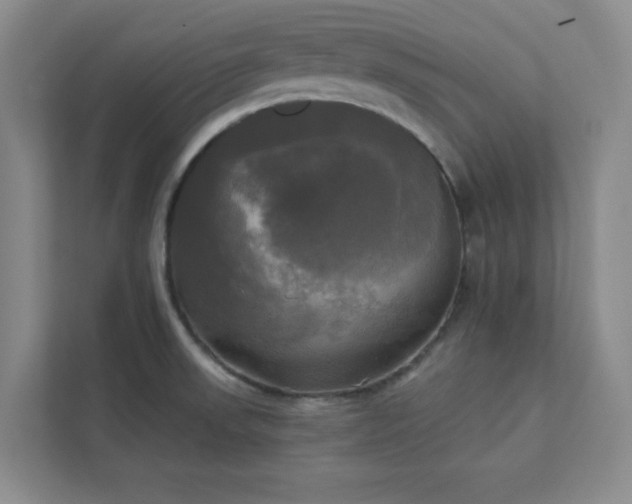 X0000113301523200909281054