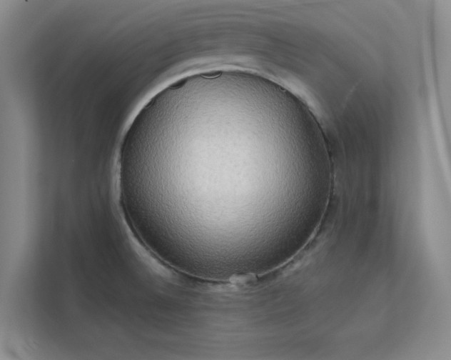 X0000113301524200909281054