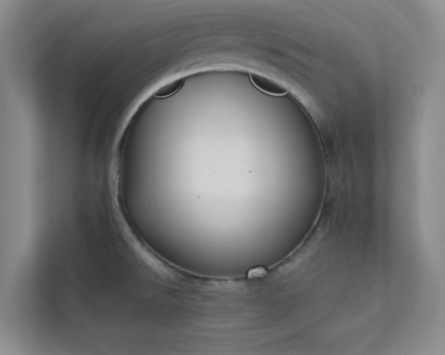 X0000113301526200909281054