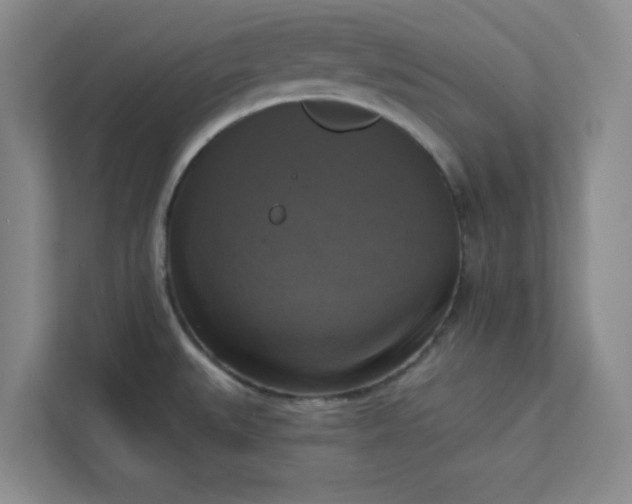 X0000113301527200909281054