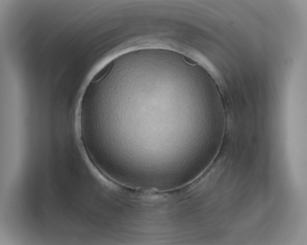 X0000113301528200909281054