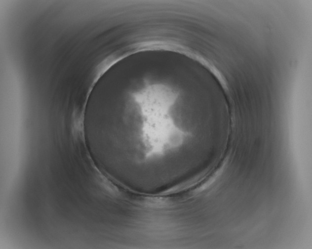 X0000113301529200909281054