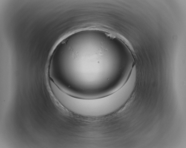 X0000113301530200909281054