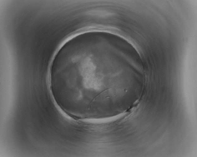 X0000113301531200909281054