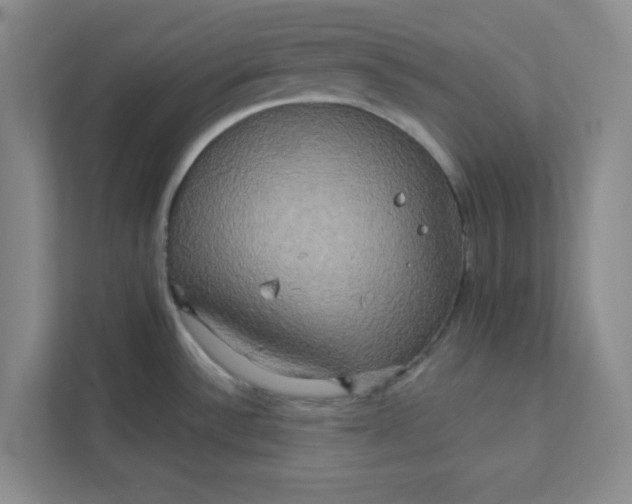 X0000113301532200909281054