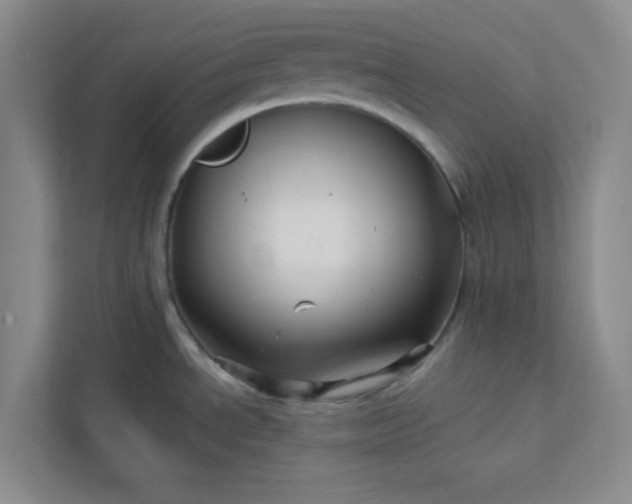 X0000113301534200909281054