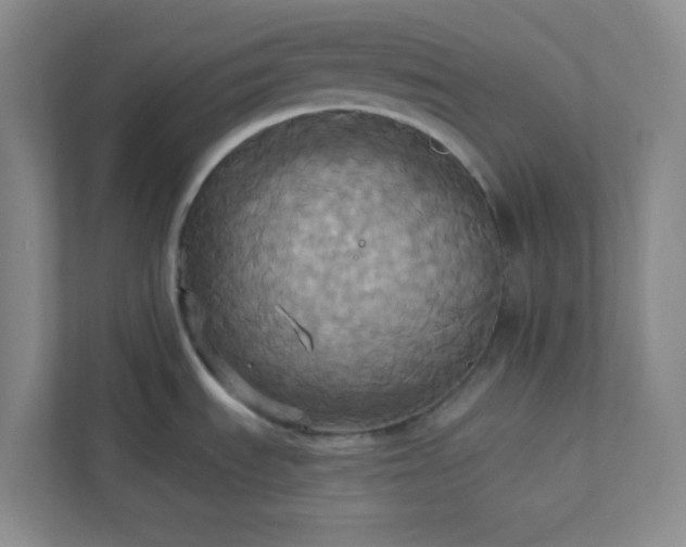 X0000113301535200909281054