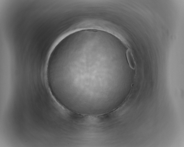 X0000113301536200909281054