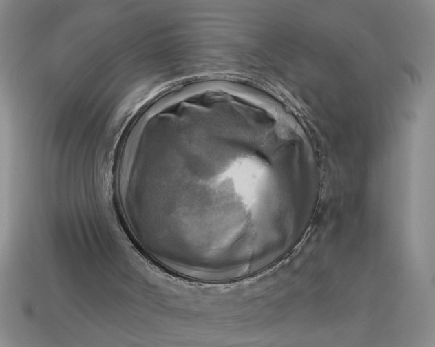 X0000113300002200910051052