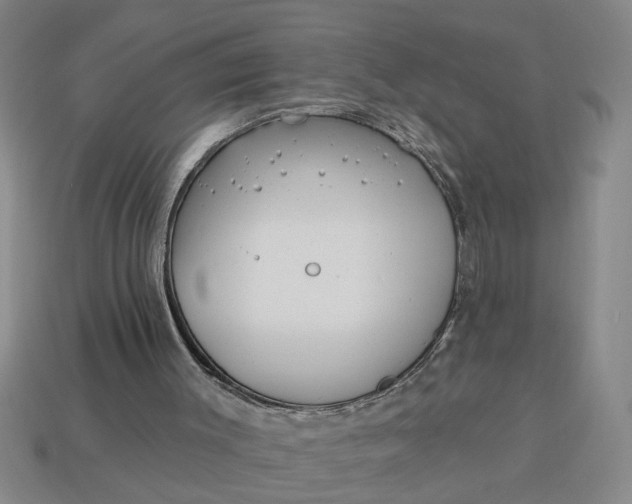 X0000113300003200910051052