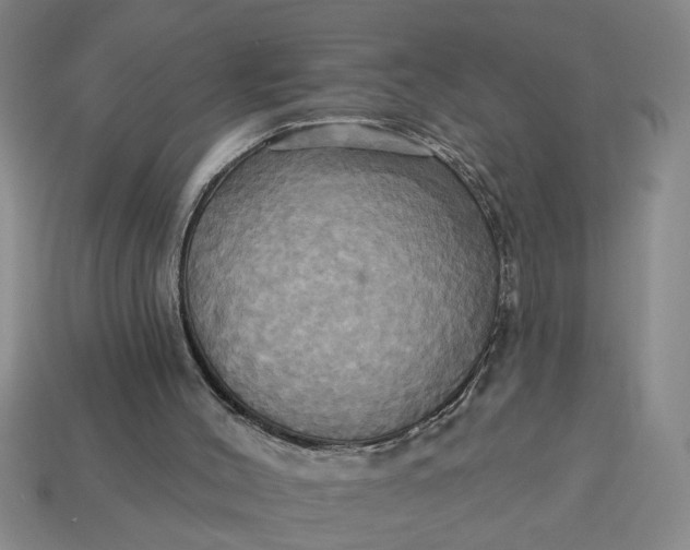 X0000113300004200910051052