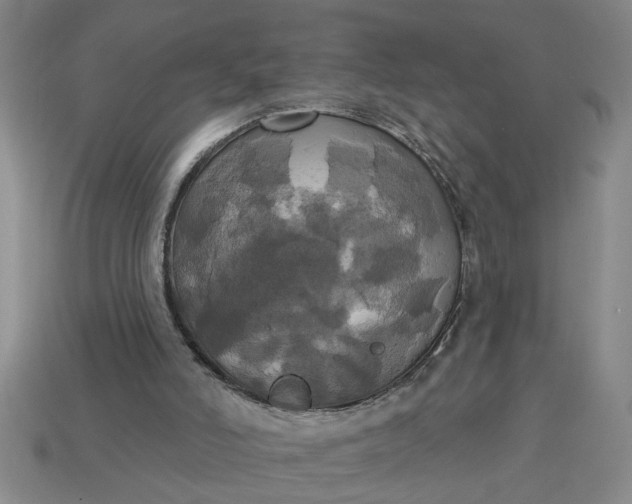 X0000113300006200910051052