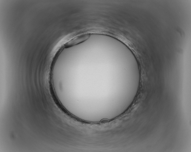 X0000113300007200910051052