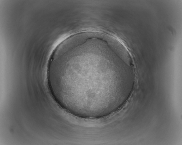 X0000113300008200910051052