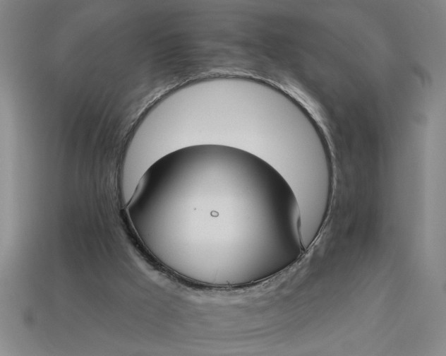 X0000113300009200910051052
