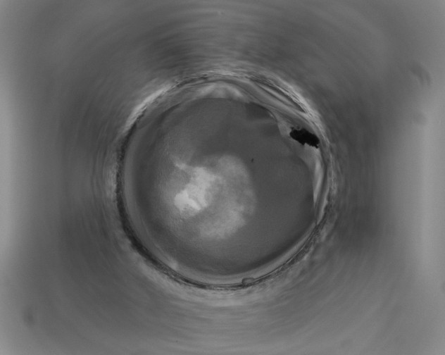 X0000113300010200910051052