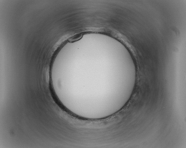 X0000113300011200910051052