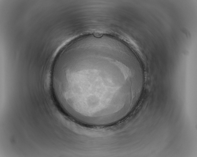 X0000113300012200910051052