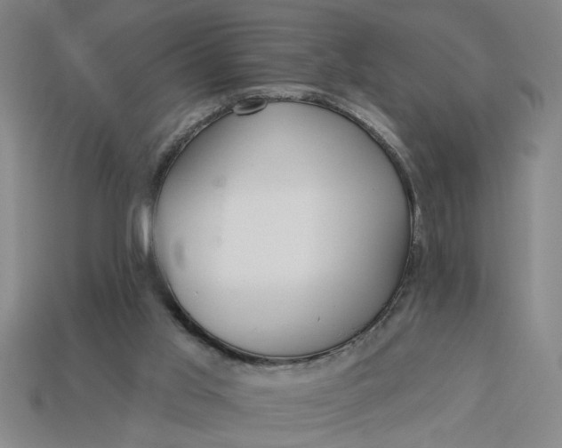X0000113300013200910051052