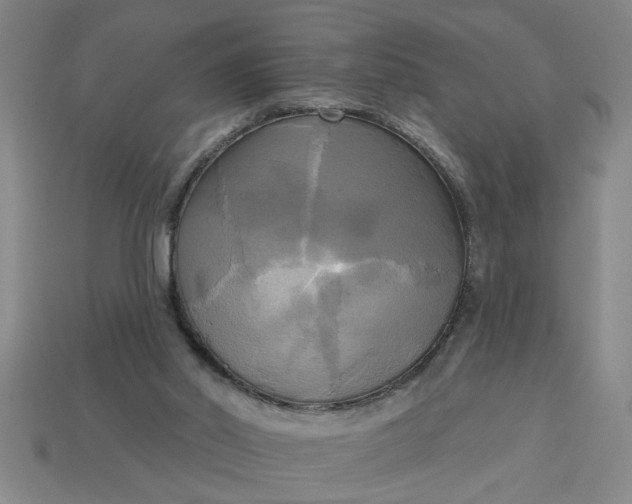 X0000113300014200910051052