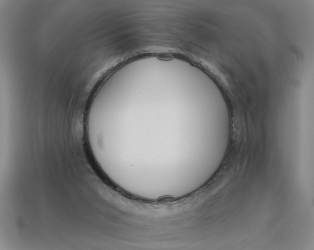 X0000113300015200910051052