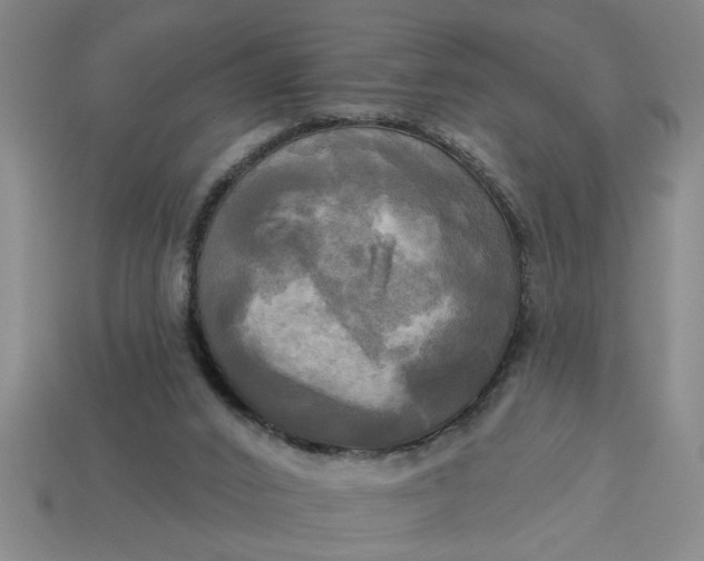 X0000113300016200910051052