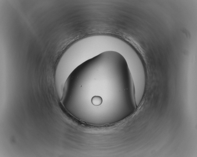 X0000113300017200910051052